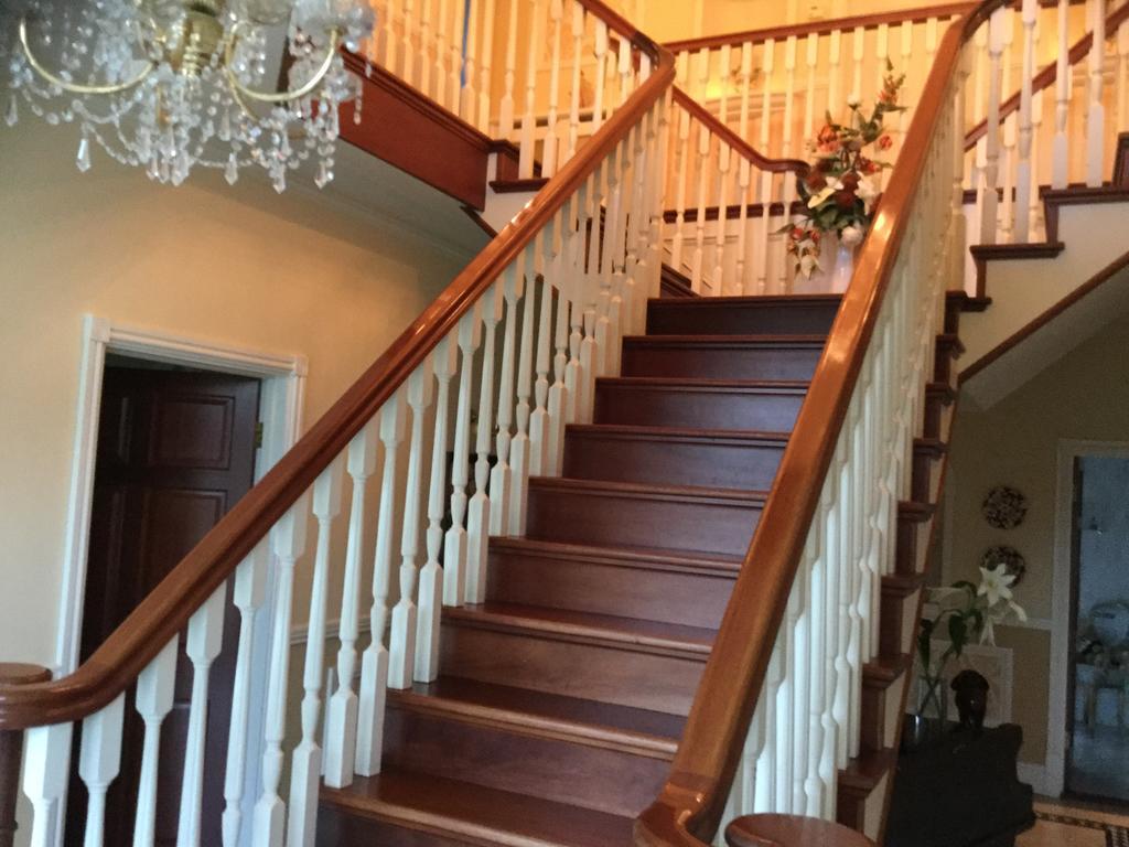 Plas Y Dderwen Bed And Breakfast Αμπερίστγουιθ Εξωτερικό φωτογραφία