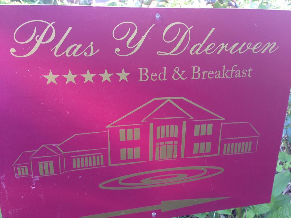 Plas Y Dderwen Bed And Breakfast Αμπερίστγουιθ Εξωτερικό φωτογραφία