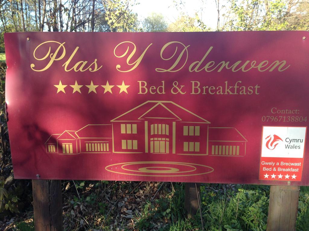 Plas Y Dderwen Bed And Breakfast Αμπερίστγουιθ Εξωτερικό φωτογραφία
